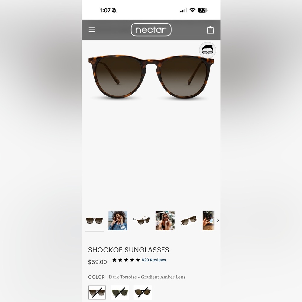 Nectar Tortoise Shell Sunglasses